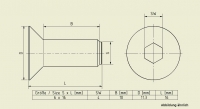 Self Forming Hexagonal Cap Screw S6x16 B-Type slot 6