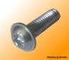 Self Forming Screw S7x25 T40 I-Type slot 8